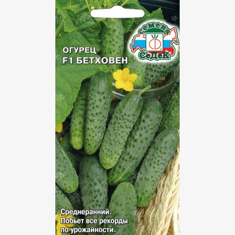 Огурец Бетховен F1 (8шт)