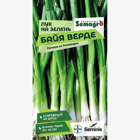 Лук на зелень Байя Верде (200шт) Seminis