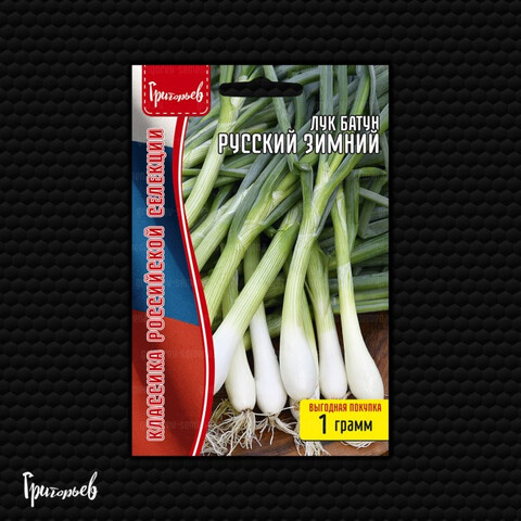 Лук батун Русский Зимний (1гр)