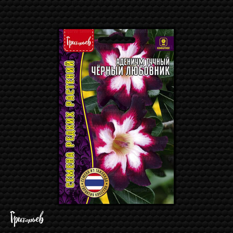 Адениум Чёрный Любовник тучный (3шт)