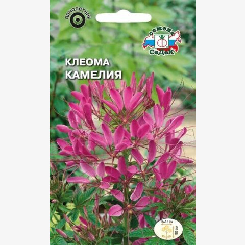Клеома Камелия (0.2 гр)