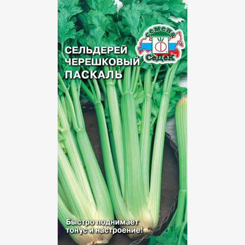 Сельдерей черешковый Паскаль (0.5гр)