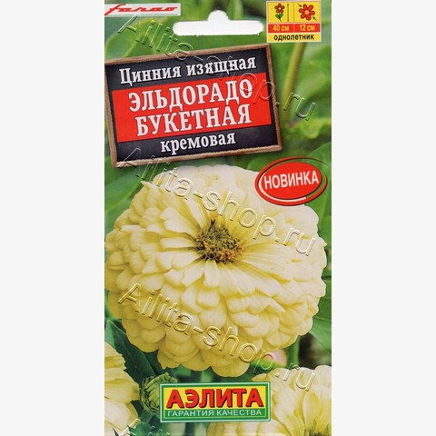 Цинния Эльдорадо букетная кремовая 12шт