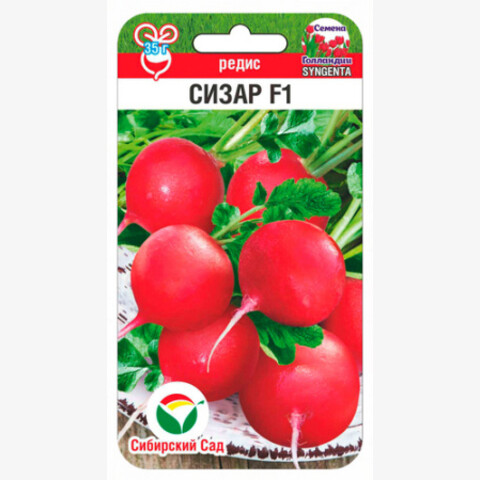 Редис Сизар F1 (60шт)