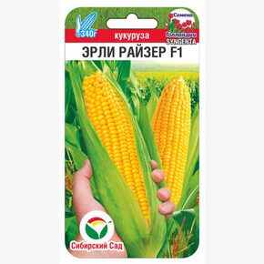 Кукуруза Эрли Райзер 5шт
