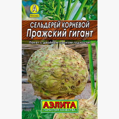 Сельдерей корневой Пражский Гигант