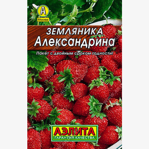 Земляника Александрина