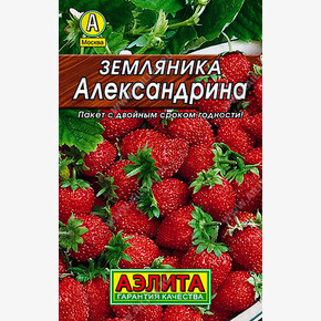 Земляника Александрина