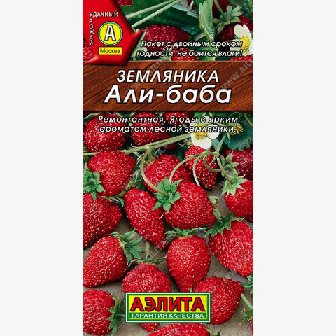 Земляника Али баба