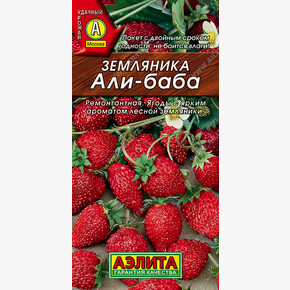 Земляника Али баба