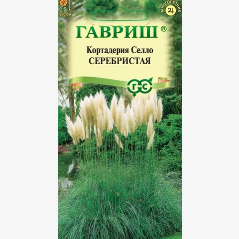 Кортадерия (Пампасная трава) серебристая, 0,01г
