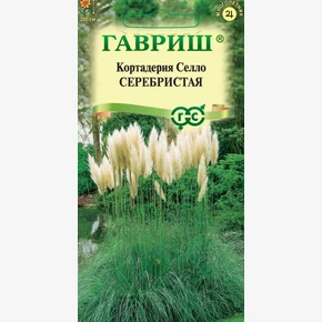 Кортадерия (Пампасная трава) серебристая, 0,01г