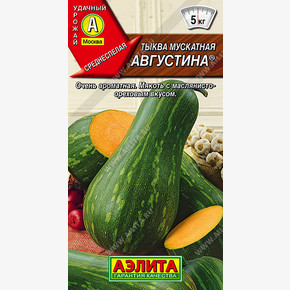 Тыква мускатная Августина