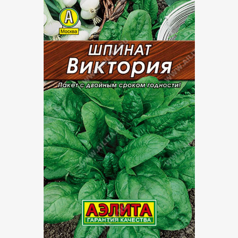 Шпинат Виктория