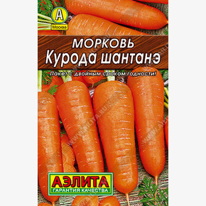 Морковь Курода шантанэ