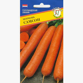 Морковь Самсон