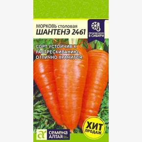 Морковь Шантенэ 2461
