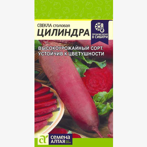 Свекла Цилиндра