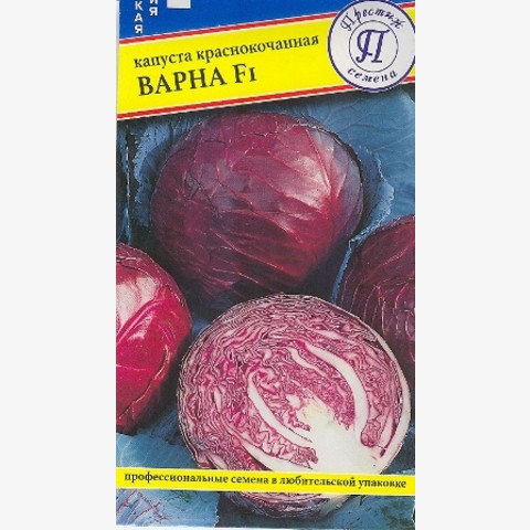 Капуста к/к Варна F1