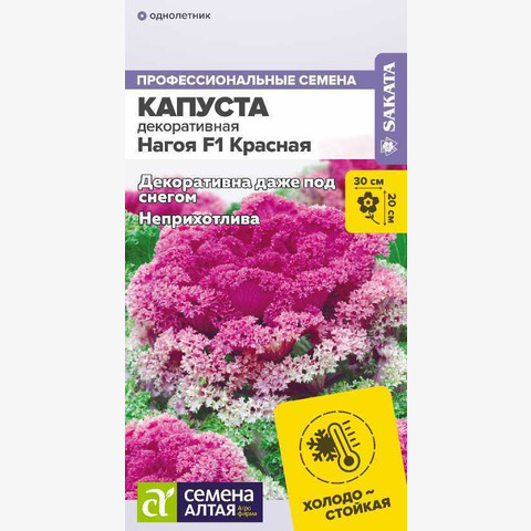 КАПУСТА НАГОЙЯ КРАСНАЯ ДЕКОРАТИВНАЯ