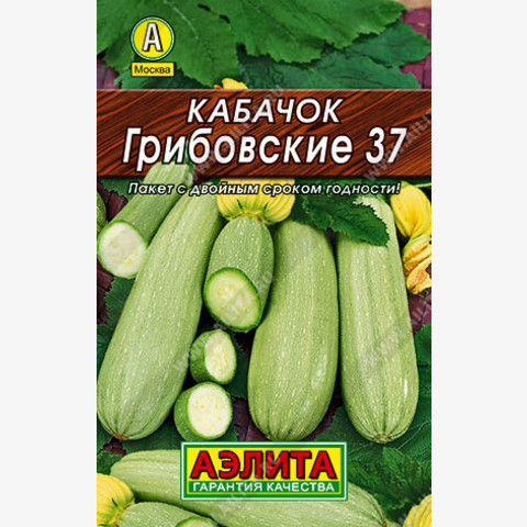 Кабачок белоплодный Грибовские 37