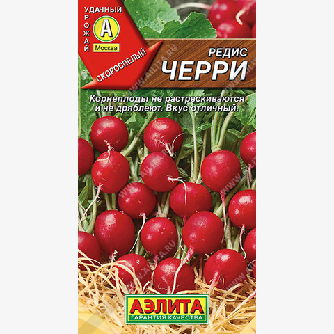 Редис Черри