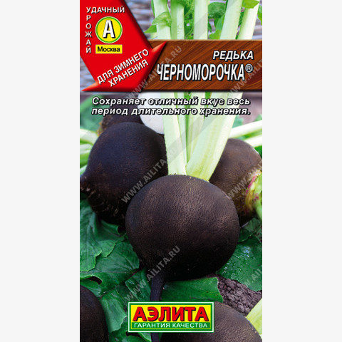Редька Черноморочка