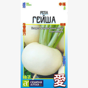 РЕПА ГЕЙША
