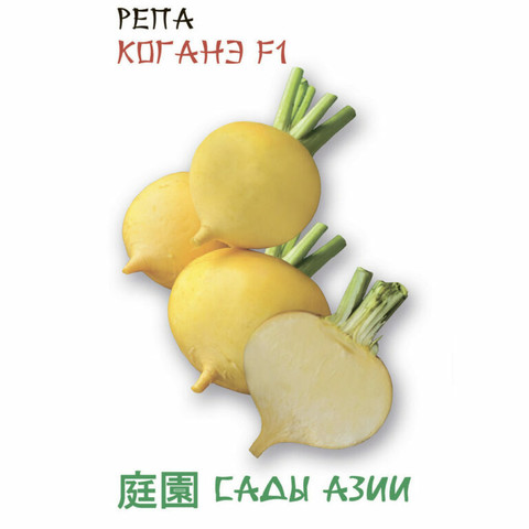 РЕПА КОГАНЭ