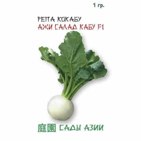 РЕПА КОКАБУ АЖИ САЛАД КАБУ